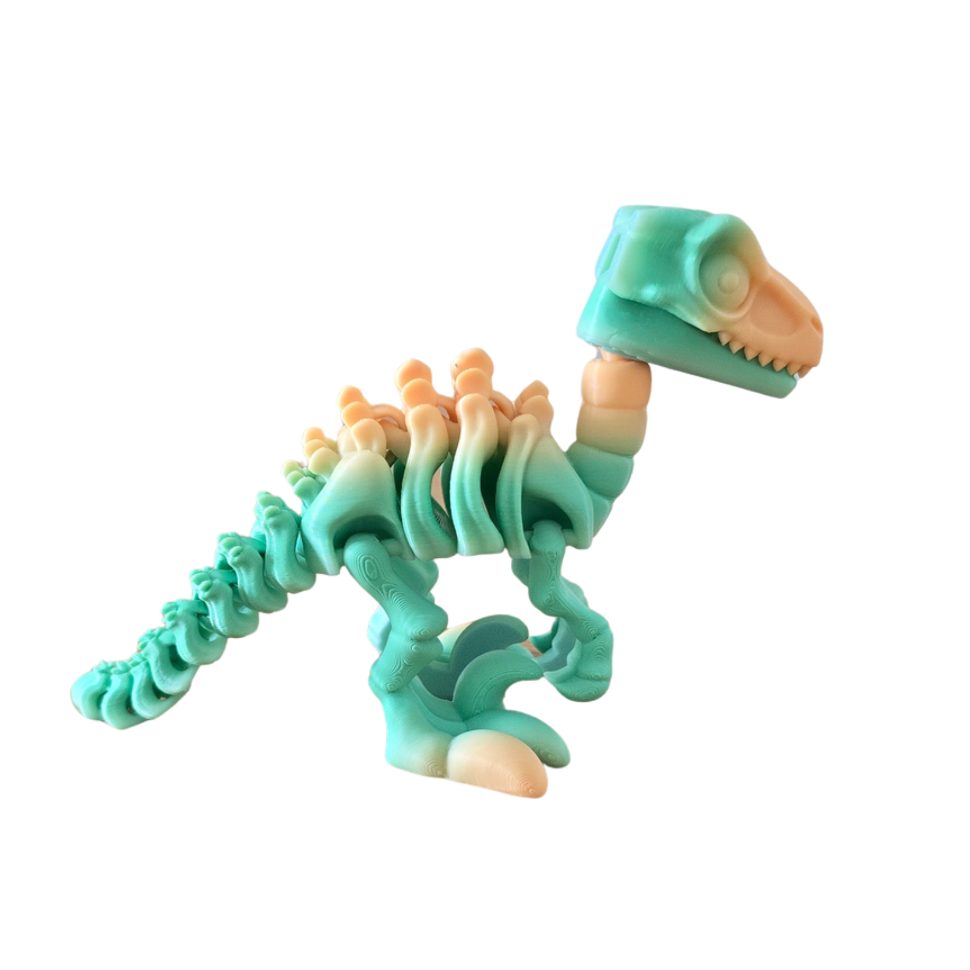 Dino Rex Articulado velociraptor verde e pêssego — brinquedo sensorial Sensoria